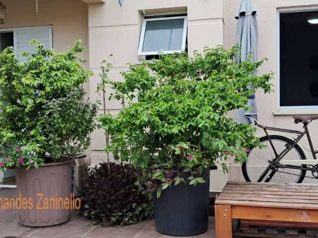 #AT-3097 - Apartamento para Venda em São Caetano do Sul - SP