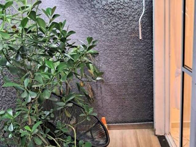 Venda em Nova Gerty - São Caetano do Sul