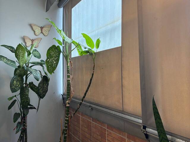 #A-3142 - Apartamento para Venda em São Paulo - SP